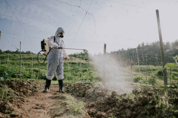 Pest Control Cost in Rossville, KS