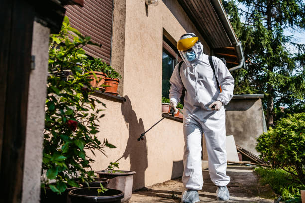 Best Pest Inspection Near Me  in Rossville, KS