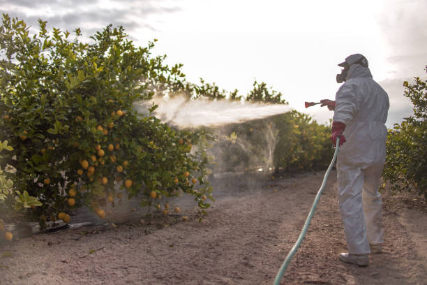 Best Pest Removal Services  in Rossville, KS