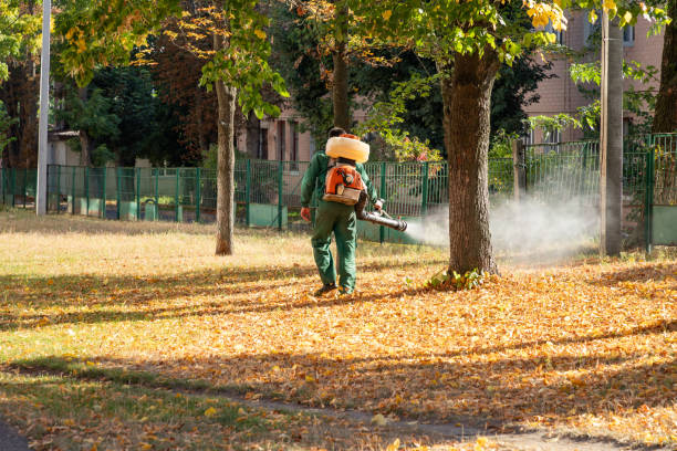 Professional Pest Control in Rossville, KS